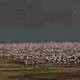 Kenya Lake System in the Great Rift Valley