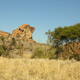 Mapungubwe Cultural Landscape