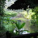 Tropical Rainforest Heritage of Sumatra