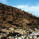Socotra Archipelago