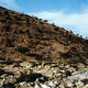 Socotra Archipelago