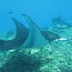 Phoenix Islands Protected Area