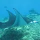 Phoenix Islands Protected Area
