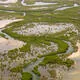 Saloum Delta