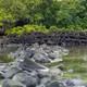 Nan Madol: Ceremonial Centre of Eastern Micronesia