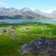 Kujataa Greenland: Norse and Inuit Farming at the Edge of the Ice Cap