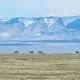Qinghai Hoh Xil
