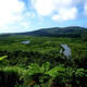 Amami-Oshima Island, Tokunoshima Island, Northern part of Okinawa Island, and Iriomote Island