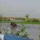 Djoudj National Bird Sanctuary