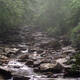 Great Smoky Mountains National Park