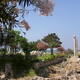 Tyre