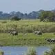 Kaziranga National Park