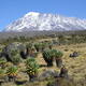 Kilimanjaro National Park
