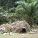 Dja Faunal Reserve