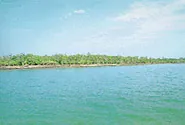 Sundarbans National Park