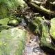 Yakushima