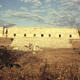 Pre-Hispanic Town of Uxmal