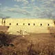 Pre-Hispanic Town of Uxmal
