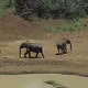 Mount Kenya National Park/Natural Forest
