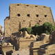 Ancient Thebes with its Necropolis