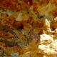Rock Art of the Mediterranean Basin on the Iberian Peninsula