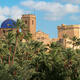 Palmeral of Elche
