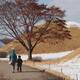 Gyeongju Historic Areas